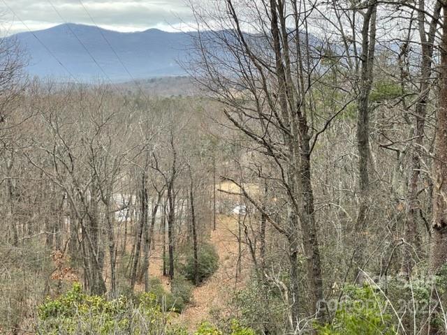 0 Ridgetop Road Landrum, SC 29356 - Photo 1 of 2 Gallery Image 1