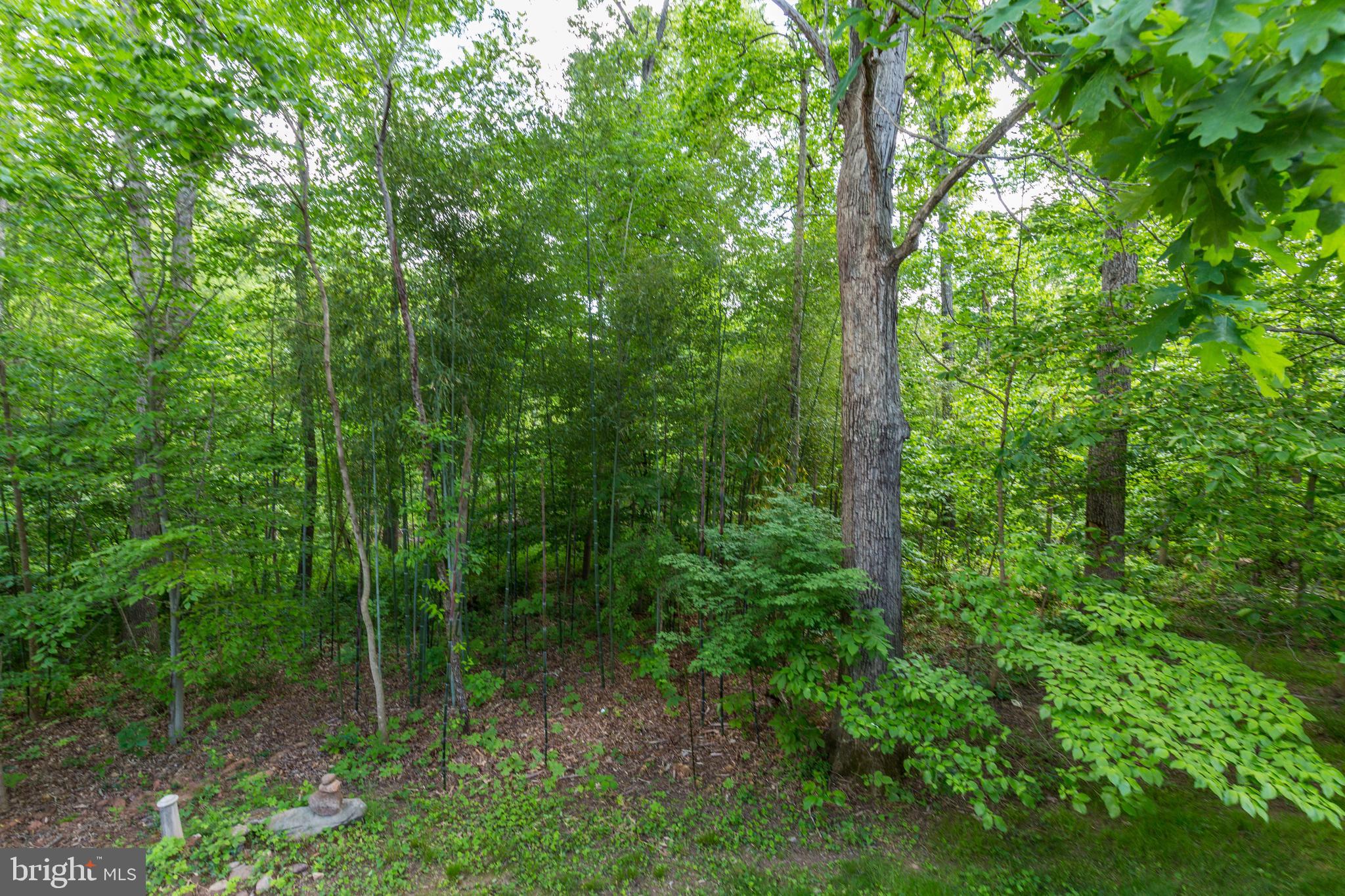31 Rutherford Circle Sterling, VA 20165 - Photo 76 of 94 Back Yard of 31 Rutherford Circle