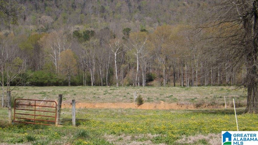 0 Gallant Road, Unit 40 Steele, AL 35987 - Photo 23 of 34 Gallery Image 23