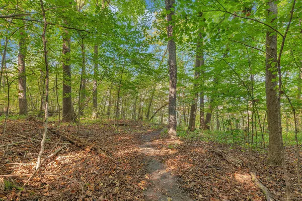 $210,000 | 12814 Bittersweet Lane, St. Joseph, MN 56374