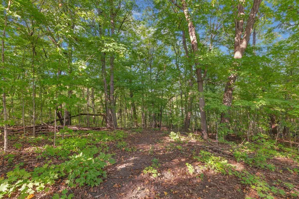 $210,000 | 12814 Bittersweet Lane, St. Joseph, MN 56374