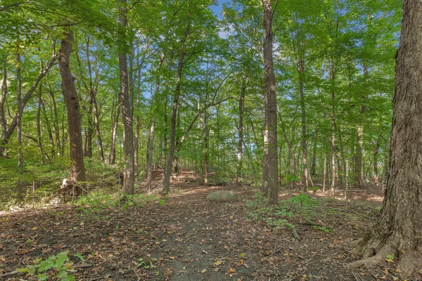 $210,000 | 12814 Bittersweet Lane, St. Joseph, MN 56374