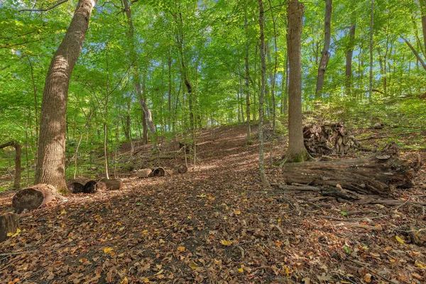 $210,000 | 12814 Bittersweet Lane, St. Joseph, MN 56374