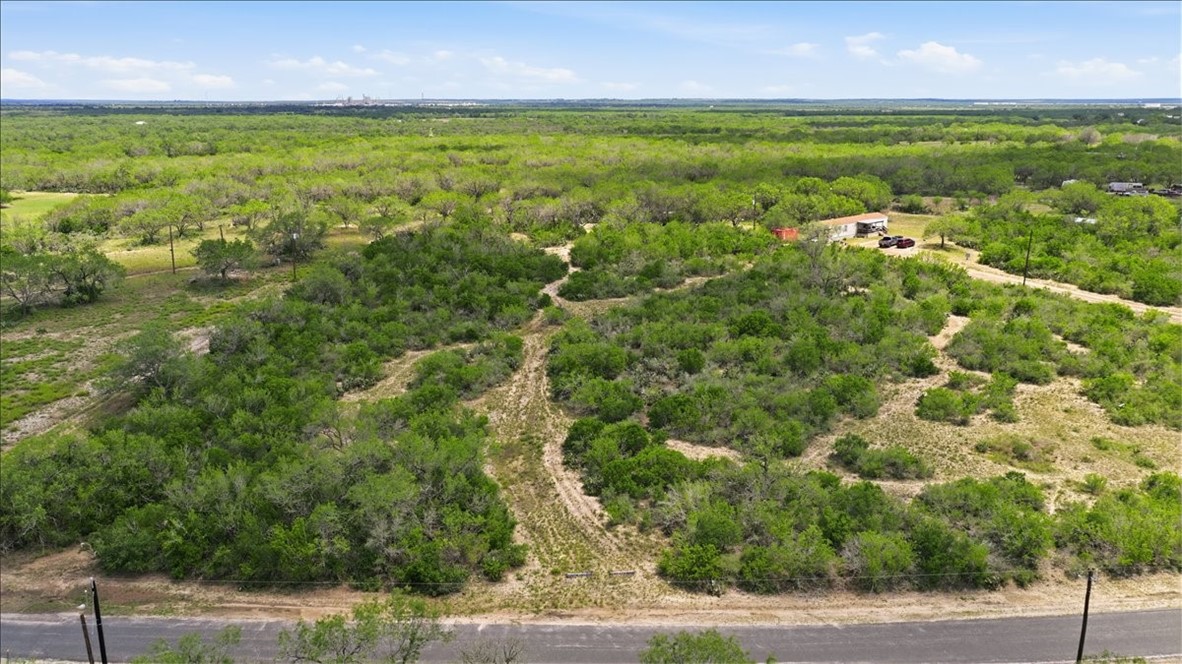140 Choke Canyon Estates Drive Three Rivers, TX 78071 - Photo 14 of 17