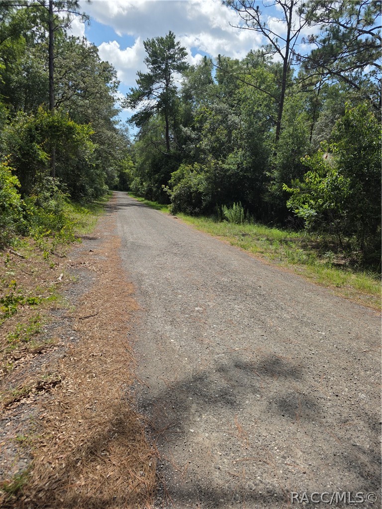 3211 East Millside Lane Inverness, FL 34453 - Photo 4 of 20