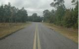 Lot 31 Owens Road Fernandina Beach, FL 32034 - Photo 3 of 4 Gallery Image 3