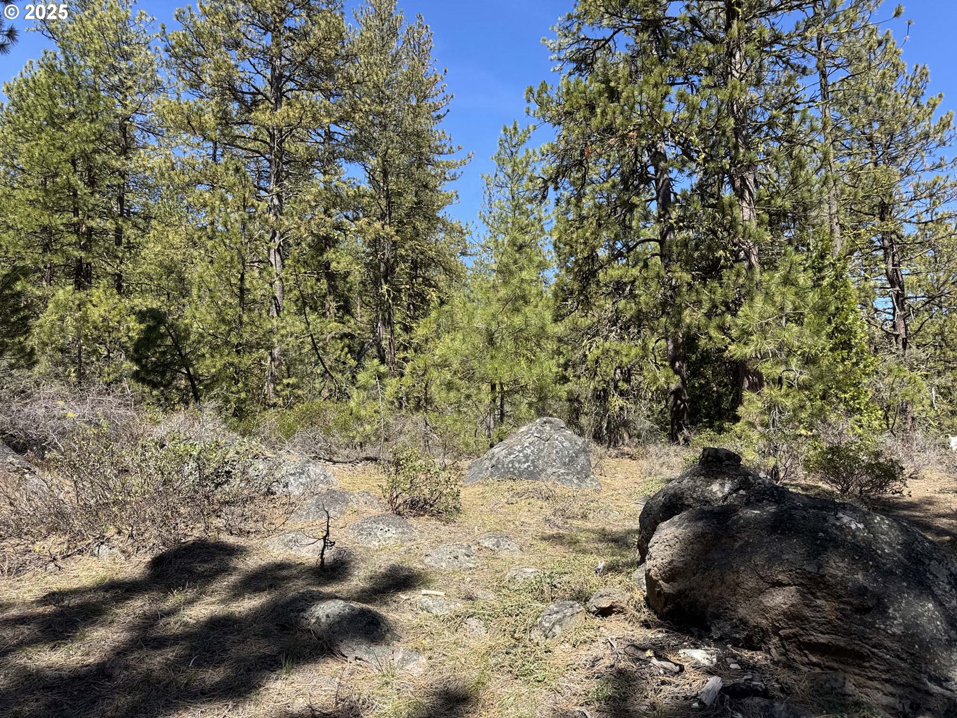 Horned Owl Lane Bonanza, OR 97623 - Photo 11 of 44