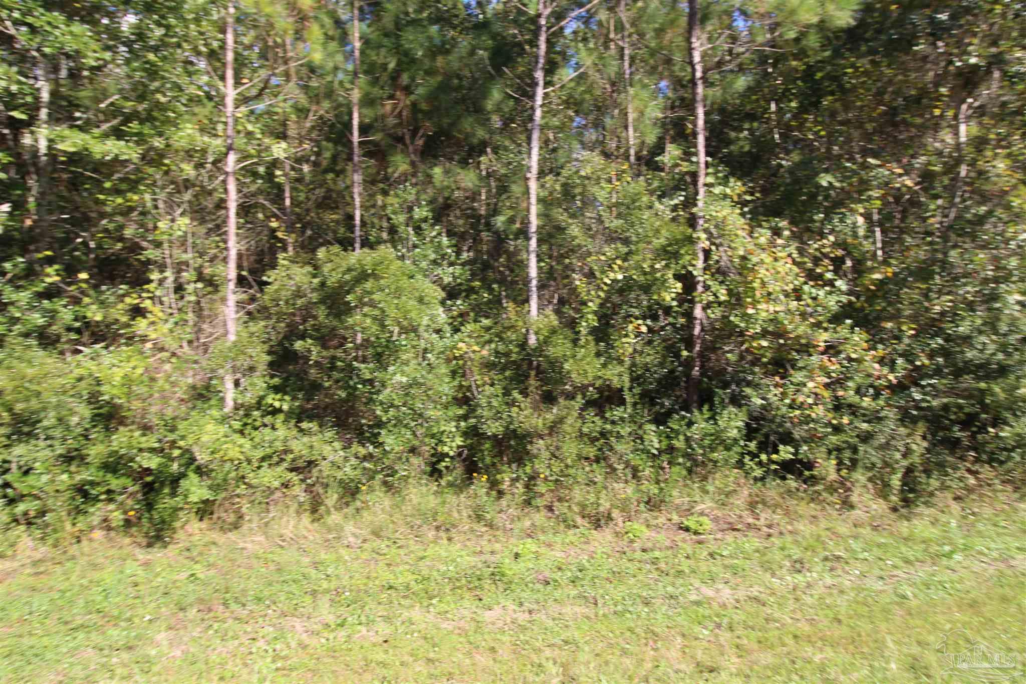 3424 Robinson Point Road Milton, FL 32583 - Photo 9 of 9 Gallery Image 9