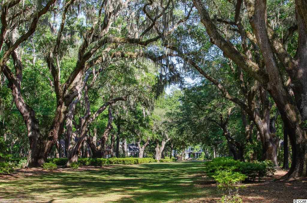 4502 Riverside Lane Murrells Inlet, SC 29576 - Photo 28 of 33 Gallery Image 28