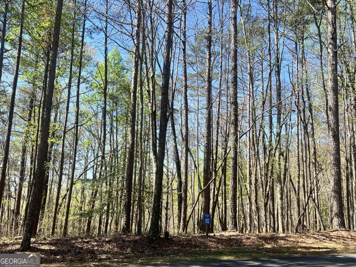 Lot 92 Doll Mountain Road Ellijay, GA 30540 - Photo 10 of 10