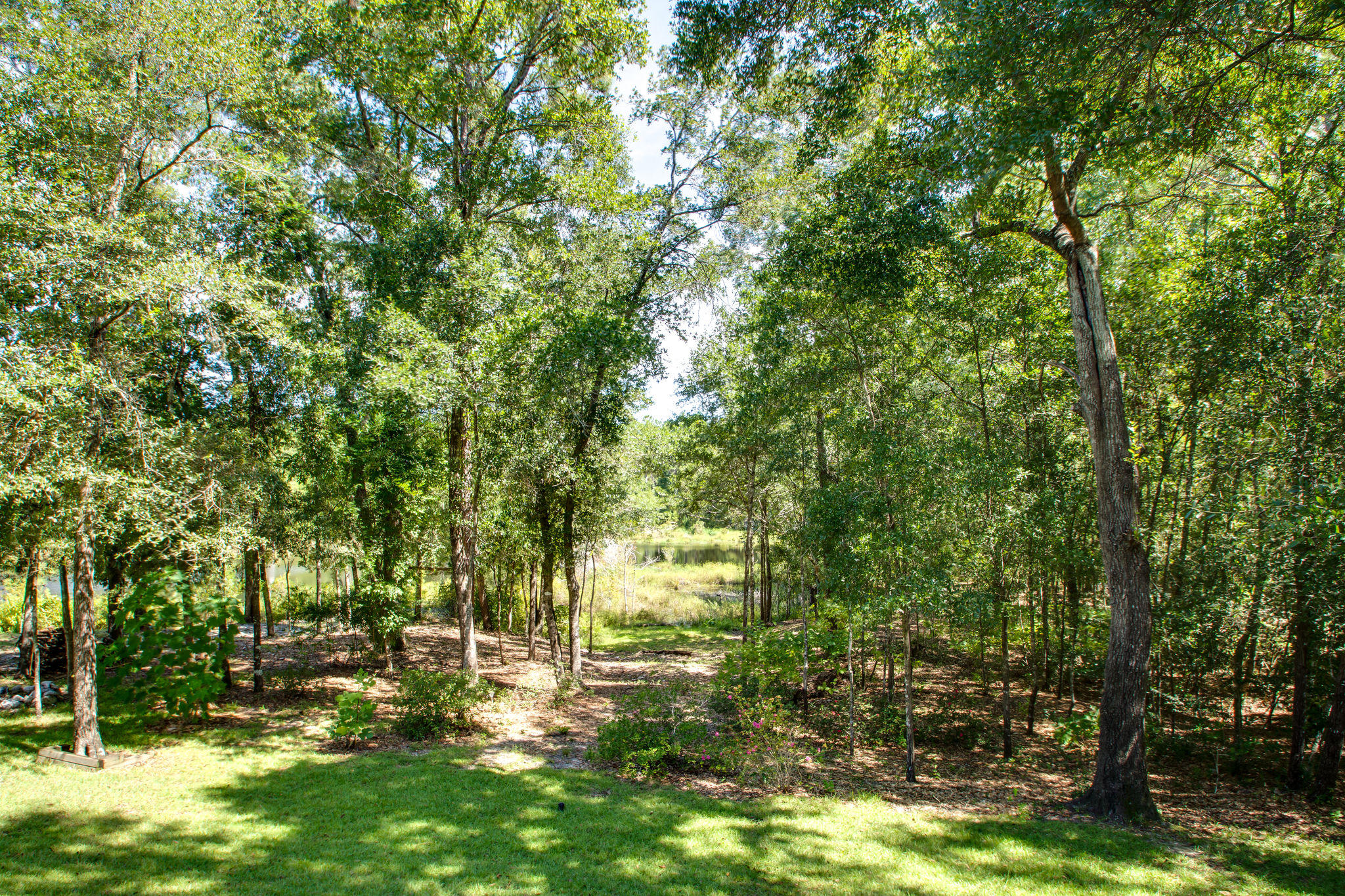446 Mango Lane Freeport, FL 32439 - Photo 32 of 48 a backyard of a house with lots of green space