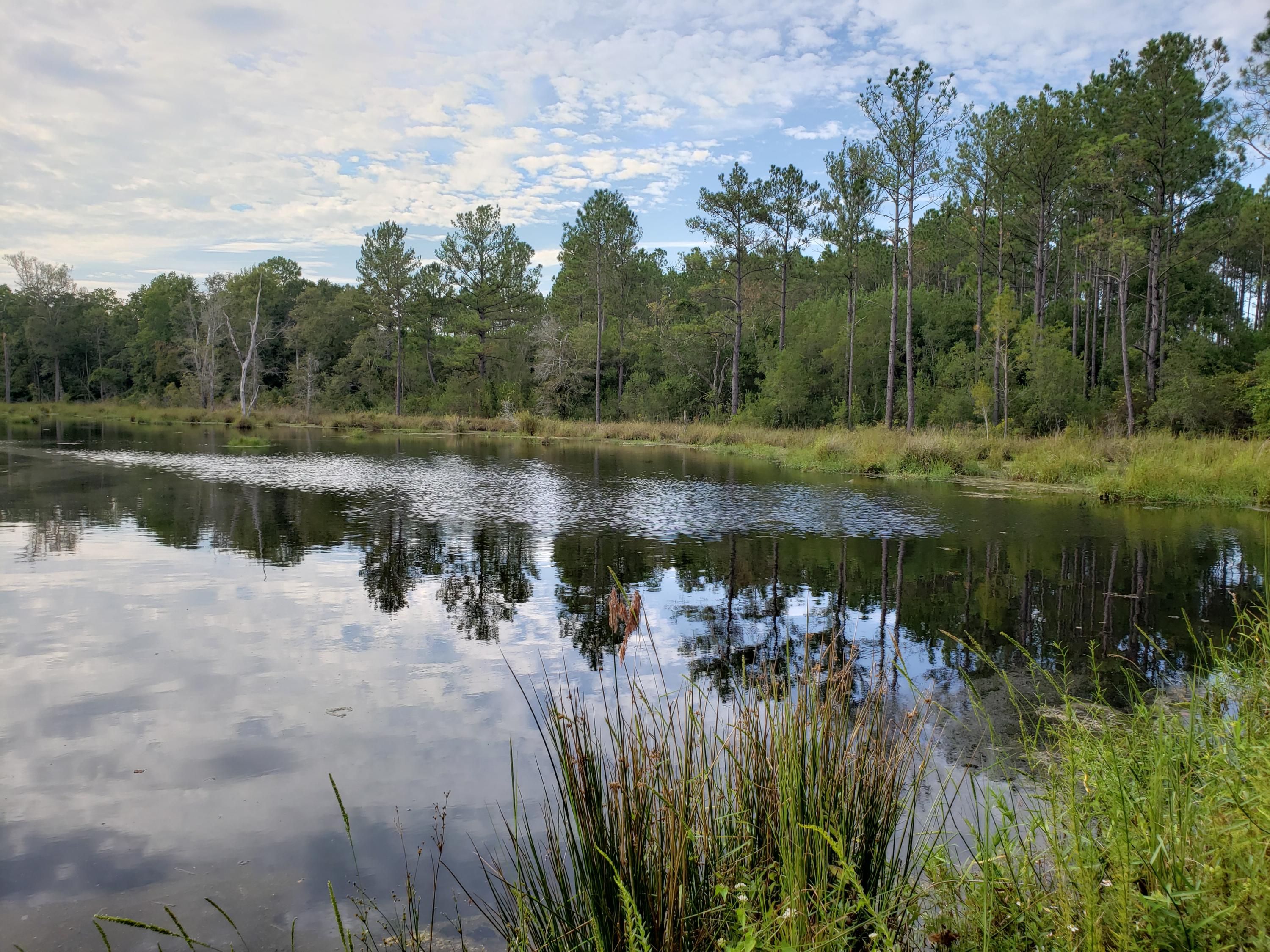 446 Mango Lane Freeport, FL 32439 - Photo 33 of 48 a view of a lake view with a lake view