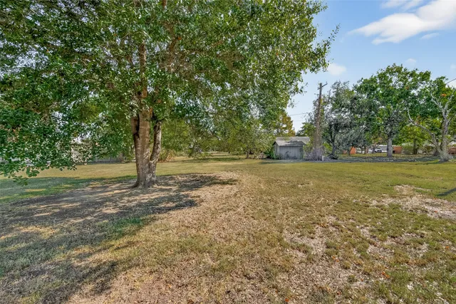 a view of a yard with a tree