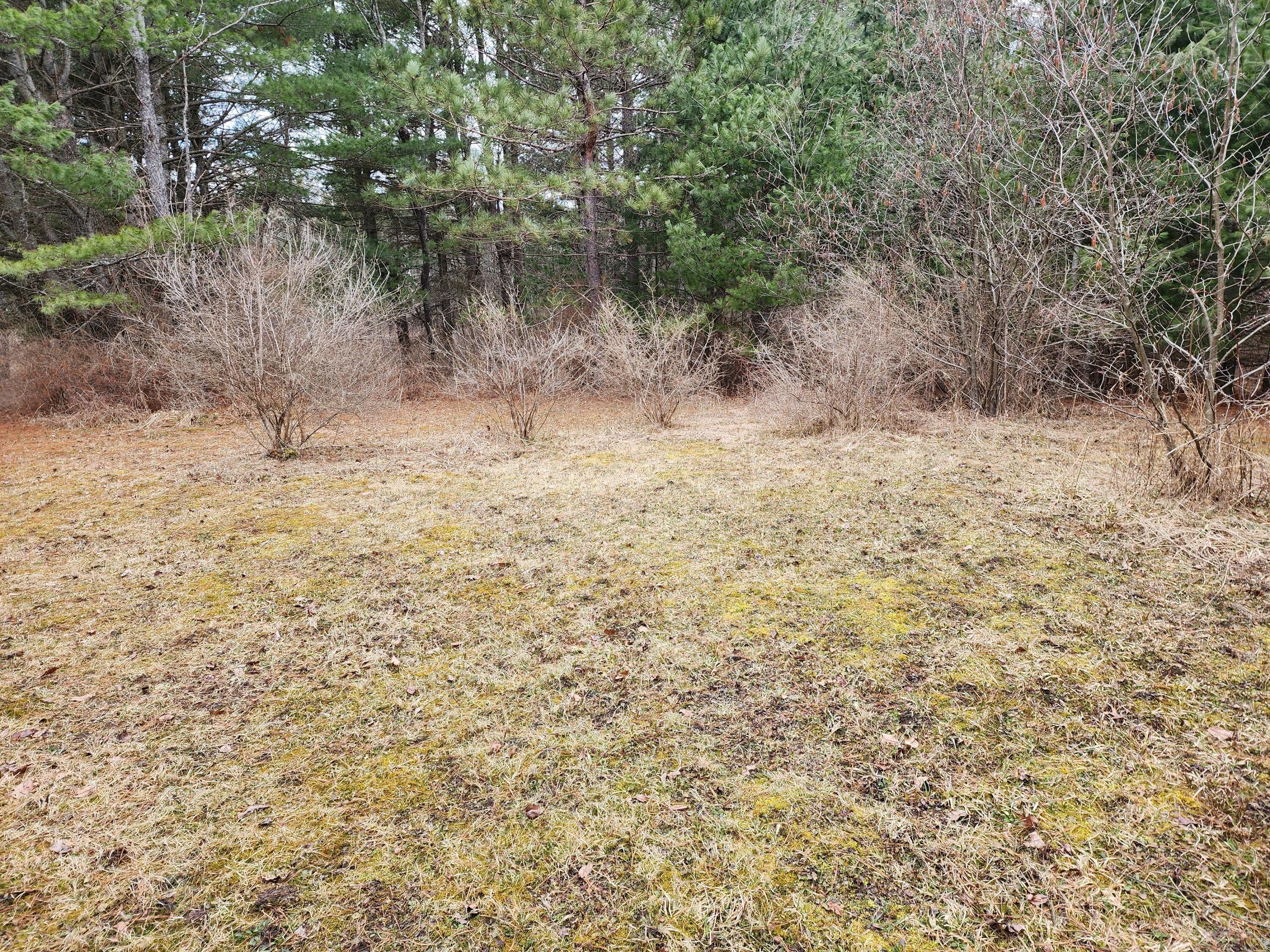 10435 Mason Road Onaway, MI 49765 - Photo 22 of 38 Gallery Image 22