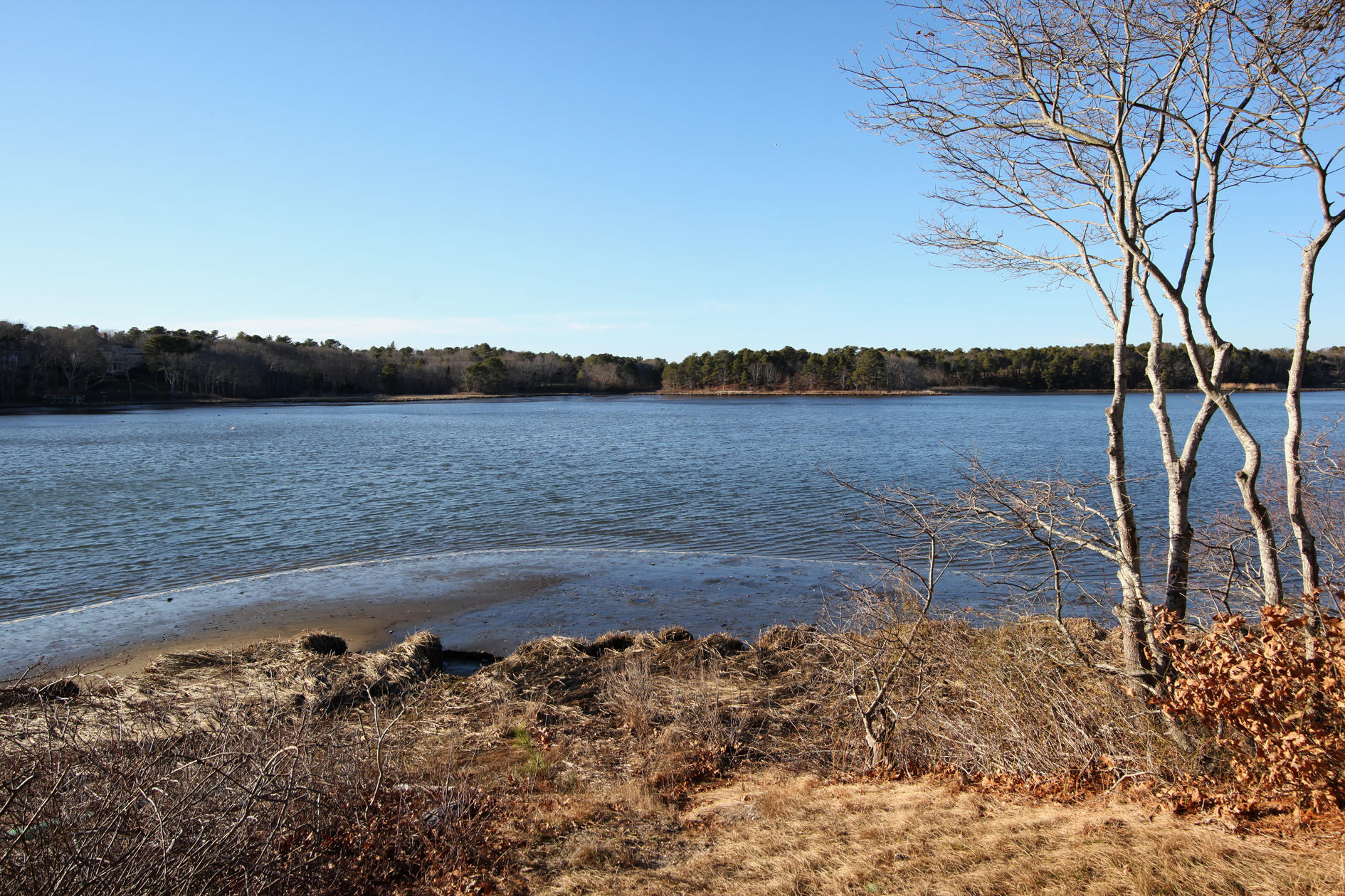 624 Poponessett Road Cotuit, MA 02635 - Photo 28 of 30 047_624PoponessetRd_03092017