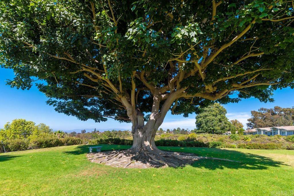 4369 Dowitcher Way Oceanside, CA 92057 - Photo 30 of 37 a view of a trees in a yard