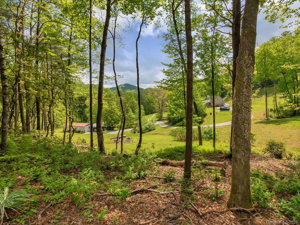 315 Garren Creek Road Rosman, NC 28772 - Photo 4 of 36 a view of an outdoor space and trees