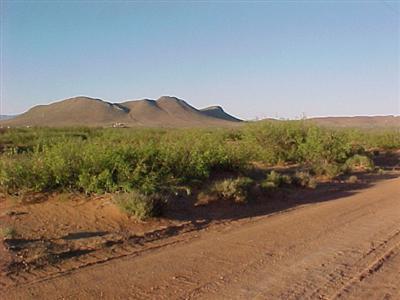 0 West Fawn Ranch Road Pearce, AZ 85625 - Photo 6 of 7