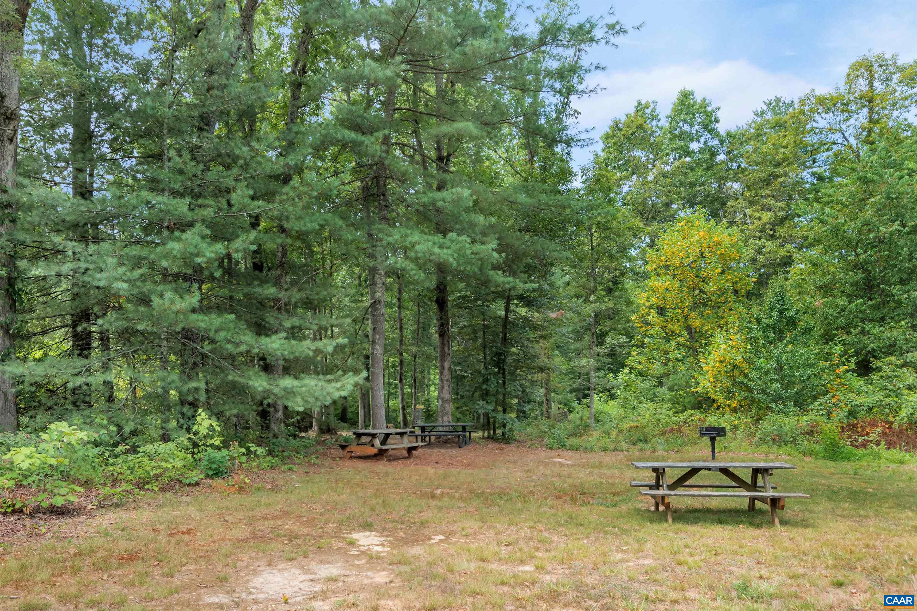 47 Dandelion Road Ruckersville, VA 22968 - Photo 35 of 35 a view of a backyard with a bench