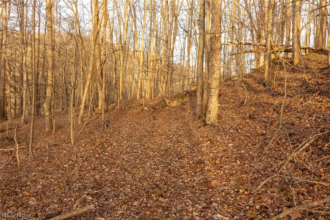 32290 Bailey Run Road Pomeroy, OH 45769 - Photo 5 of 41