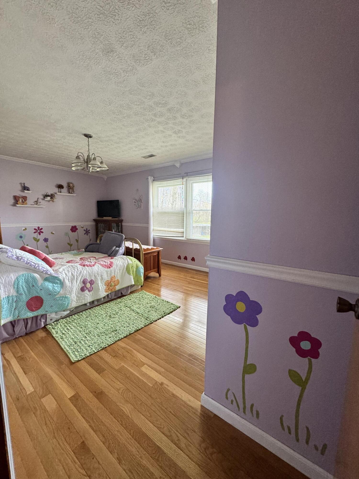 95 Rusty Road Nettie, WV 26681 - Photo 25 of 60 Gallery Image 25