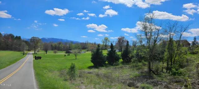 $32,000 | Tbd Honeysuckle Lane, Chuckey, TN 37641