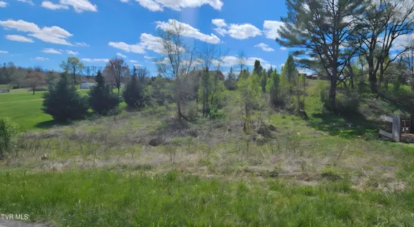 $32,000 | Tbd Honeysuckle Lane, Chuckey, TN 37641