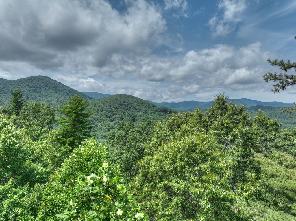284 Quail Ridge Road Blue Ridge, GA 30513 - Photo 16 of 70