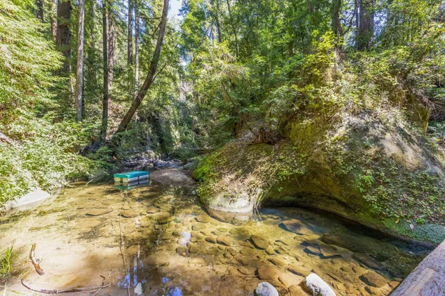 a view of a lake with large trees