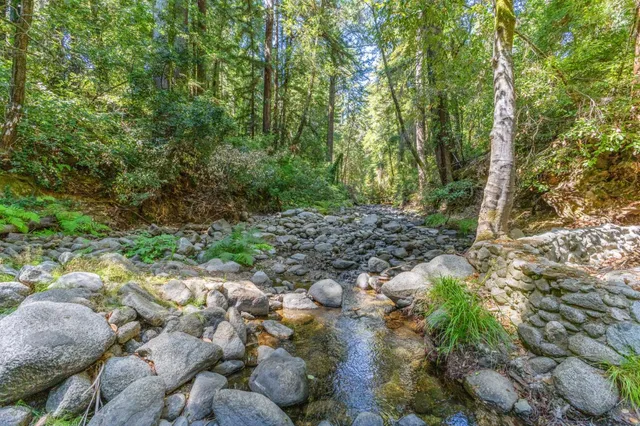 a backyard of a house with lots of green space