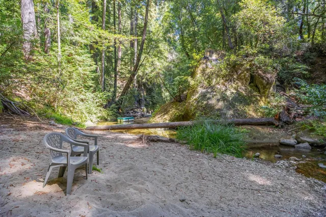 a view of a bench in a yard