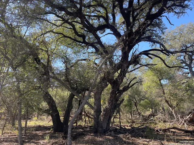 $199,000 | 686 County Road 545, Hondo, TX 78861