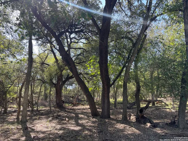 $199,000 | 686 County Road 545, Hondo, TX 78861