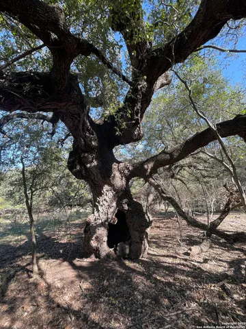 $199,000 | 686 County Road 545, Hondo, TX 78861