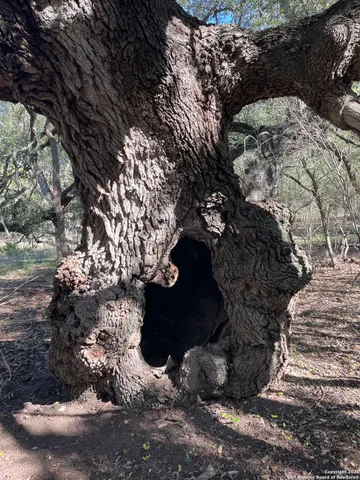 $199,000 | 686 County Road 545, Hondo, TX 78861