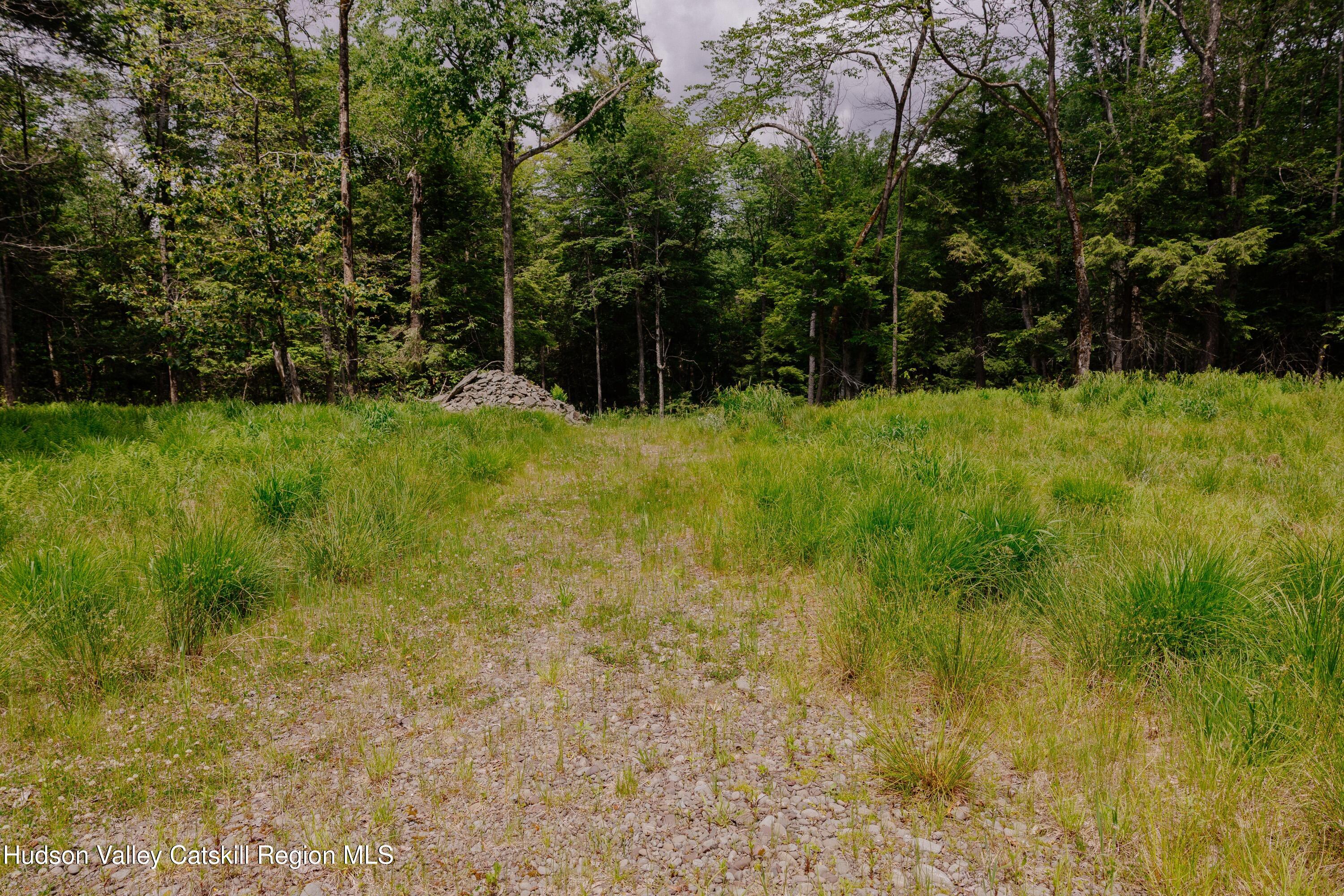 Tbd Church Lake Road Livingston Manor, NY 12758 - Photo 3 of 33 shandelee-woods-thatupstateagent-1-3