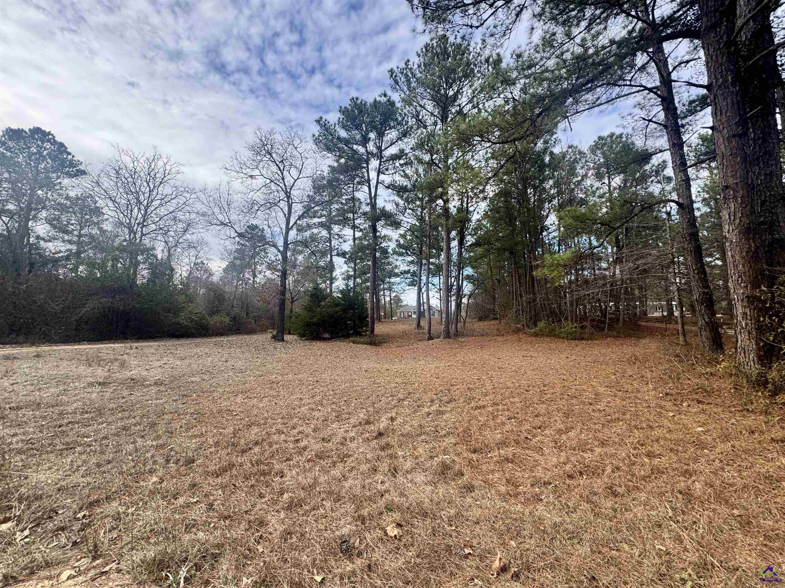 1885 Richardson Mill Road Fort Valley, GA 31030 - Photo 5 of 37