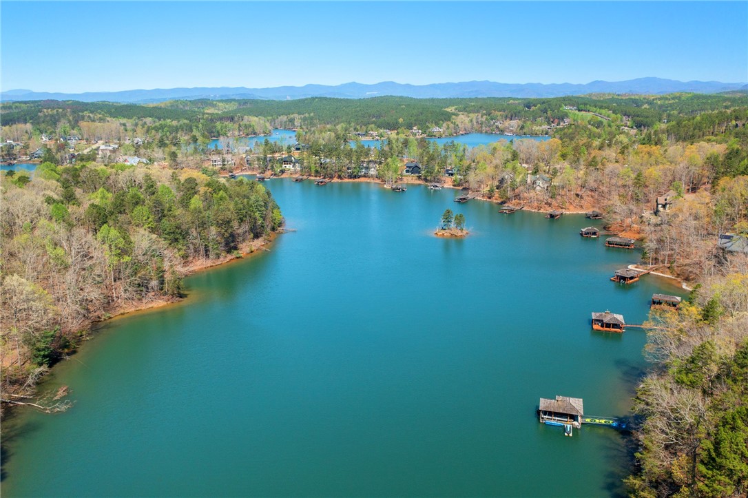 114 Peninsula Court Sunset, SC 29685 - Photo 43 of 48