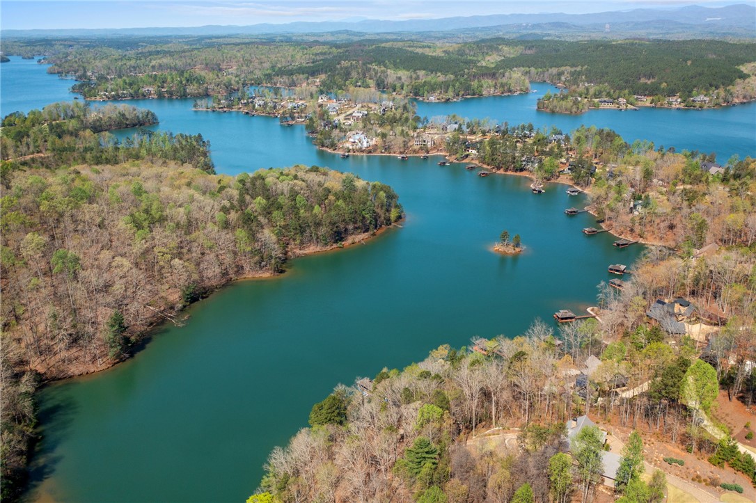 114 Peninsula Court Sunset, SC 29685 - Photo 44 of 48