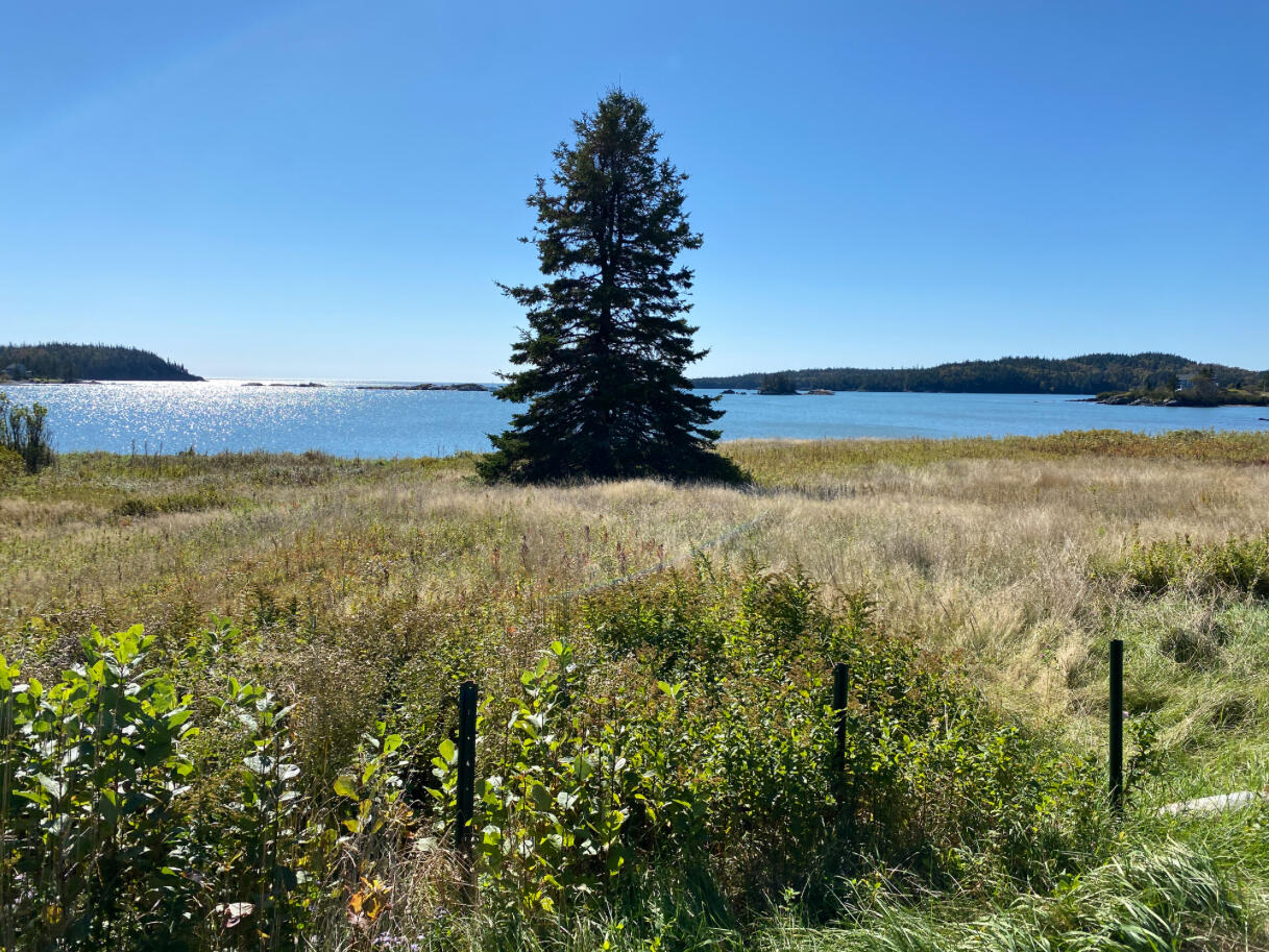L11 12/14 Boot Cove Road Lubec, ME 04652 - Photo 13 of 14