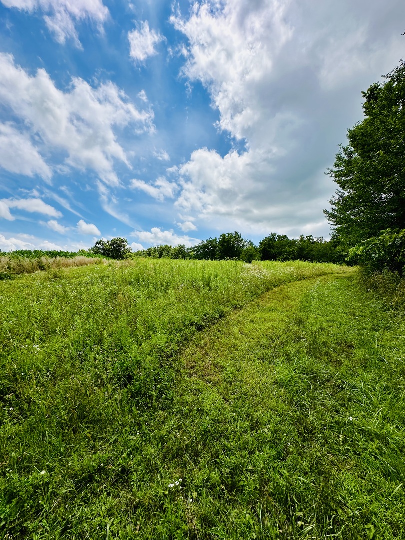 1625 East County Road Lacon, IL 61540 - Photo 2 of 20 Gallery Image 2