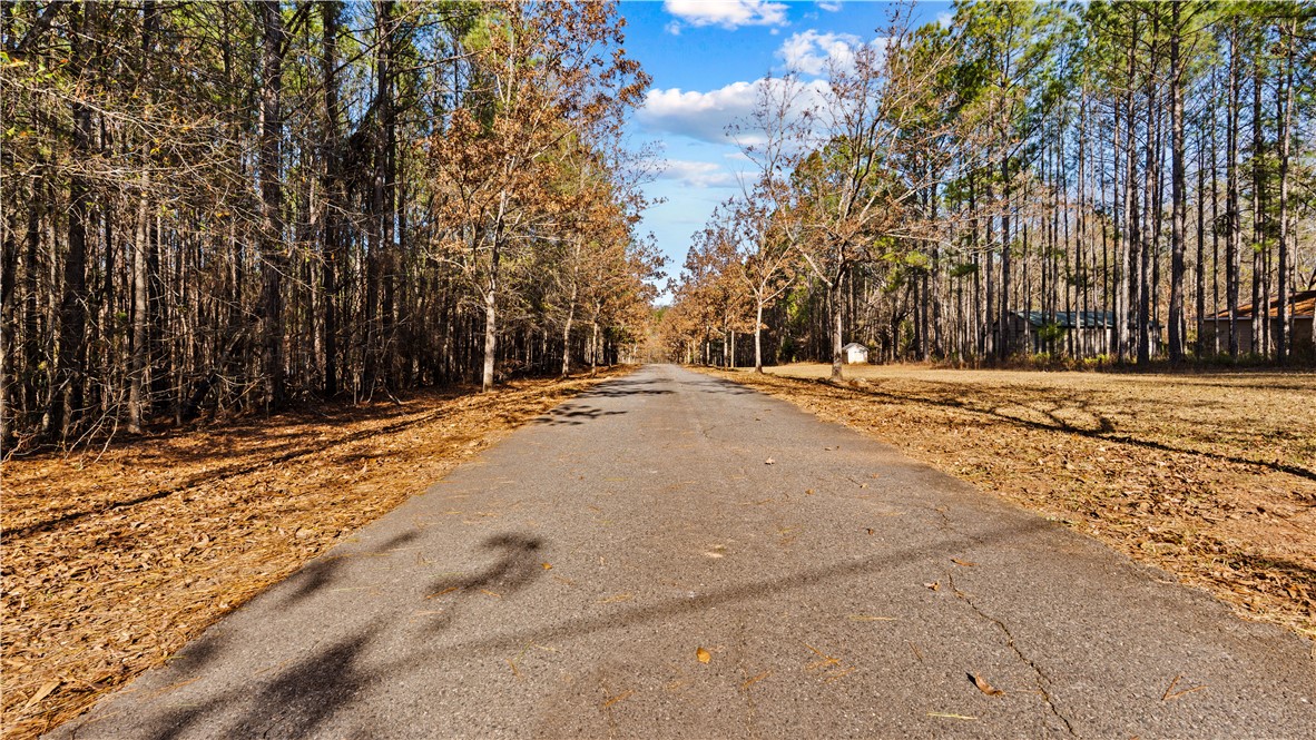 877 McKee Road Waverly Hall, GA 31831 - Photo 13 of 85