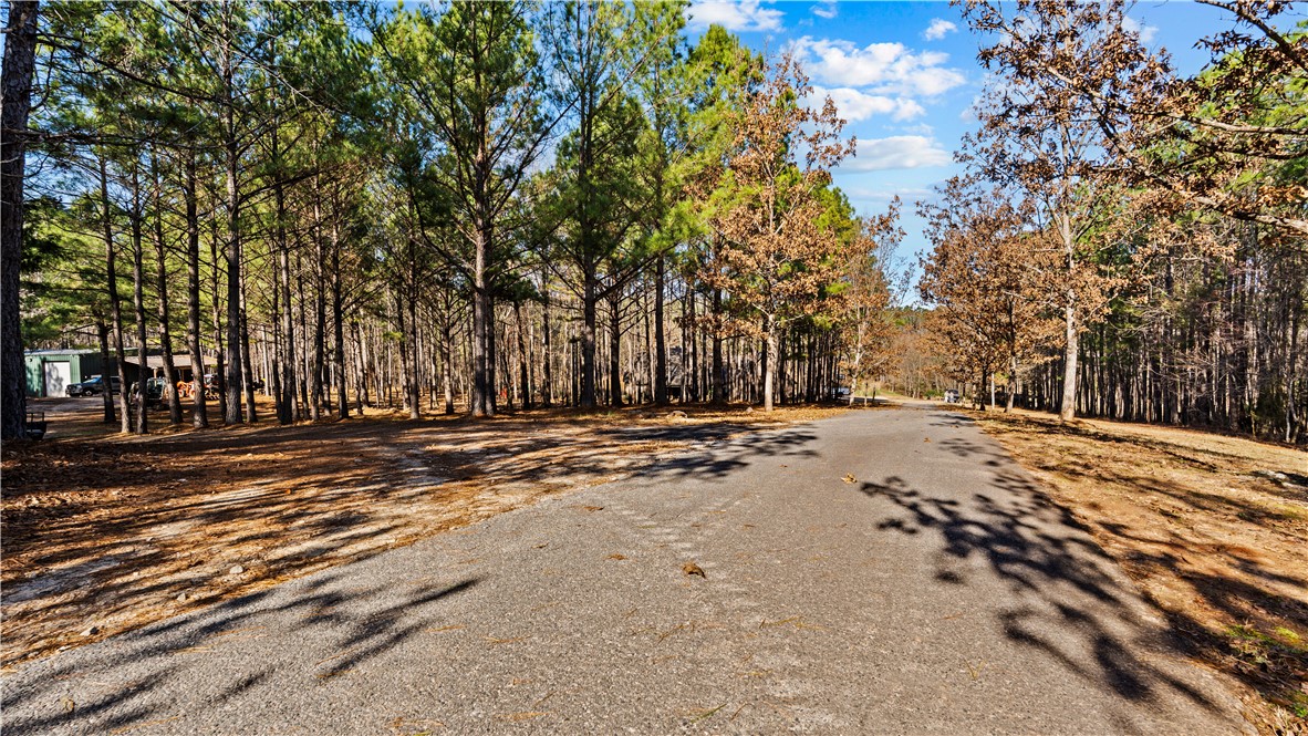 877 McKee Road Waverly Hall, GA 31831 - Photo 14 of 85