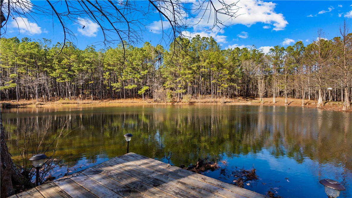 877 McKee Road Waverly Hall, GA 31831 - Photo 42 of 85