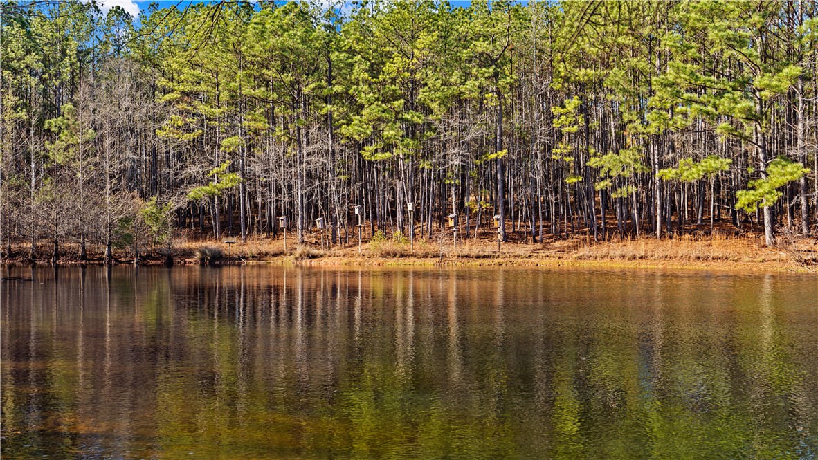 877 McKee Road Waverly Hall, GA 31831 - Photo 44 of 85