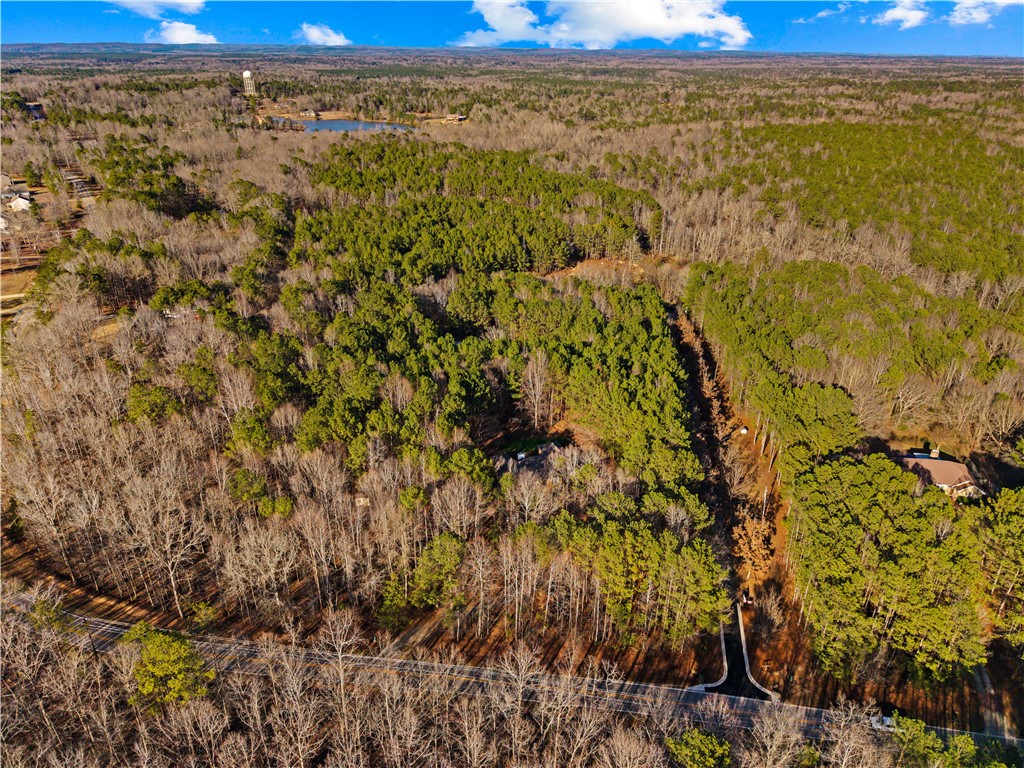 877 McKee Road Waverly Hall, GA 31831 - Photo 54 of 85