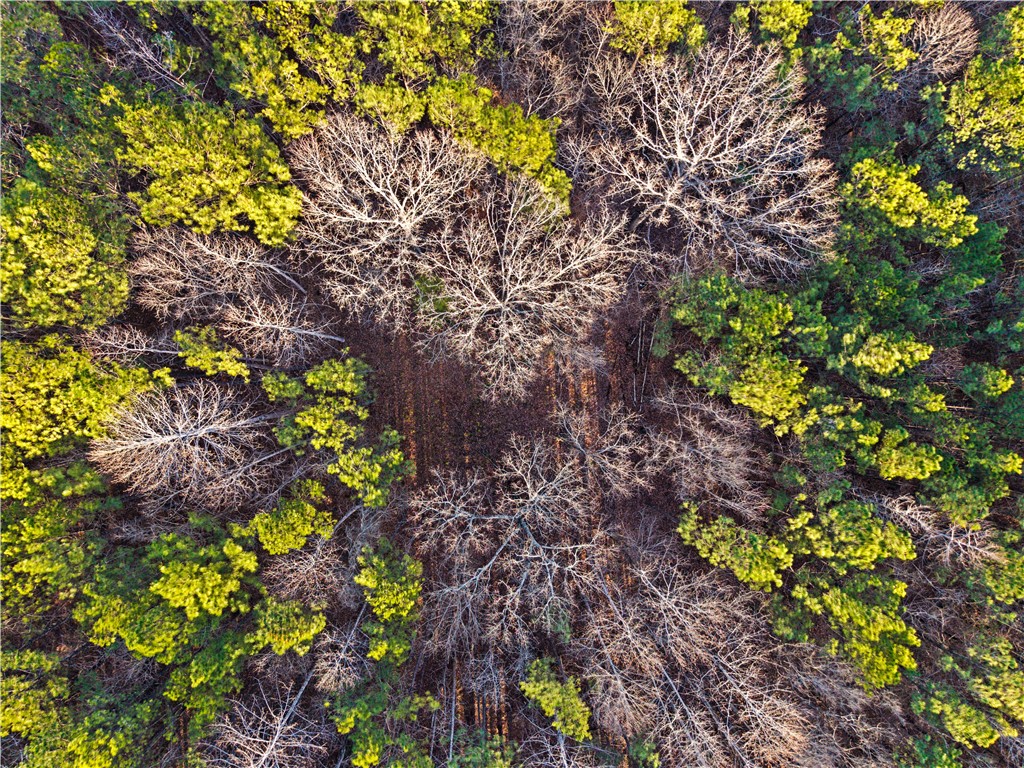 877 McKee Road Waverly Hall, GA 31831 - Photo 66 of 85