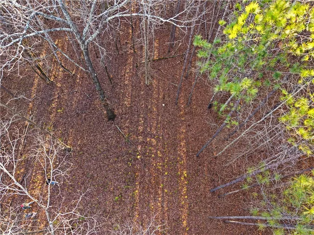 $1,250,000 | 877 McKee Road, Waverly Hall, GA 31831