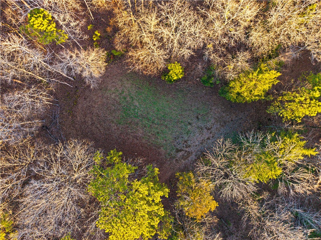 877 McKee Road Waverly Hall, GA 31831 - Photo 70 of 85