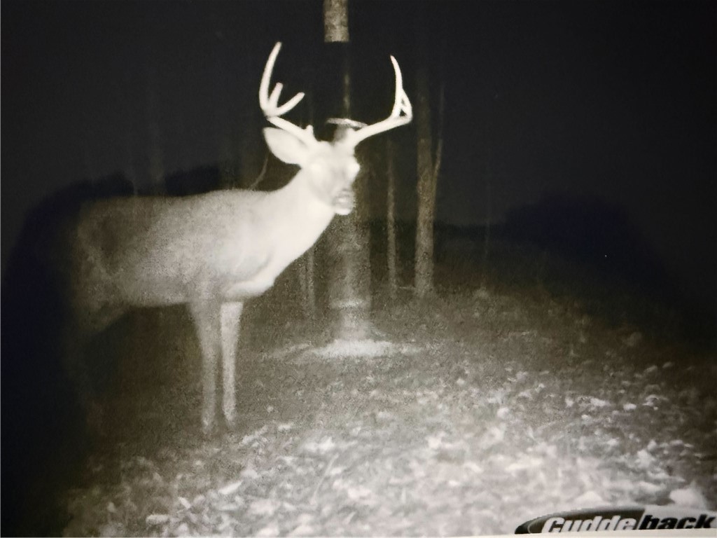 877 McKee Road Waverly Hall, GA 31831 - Photo 77 of 85